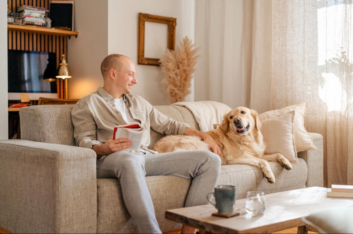 Reusable Pet Hair Remover for Furniture& Clothing